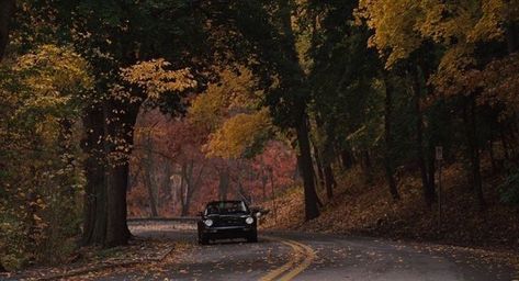 Leaves On The Ground, 컴퓨터 배경화면, Gilmore Girl, Fall Mood Board, Autumn In New York, Fall Time, Season Of The Witch, The Secret History, Best Seasons