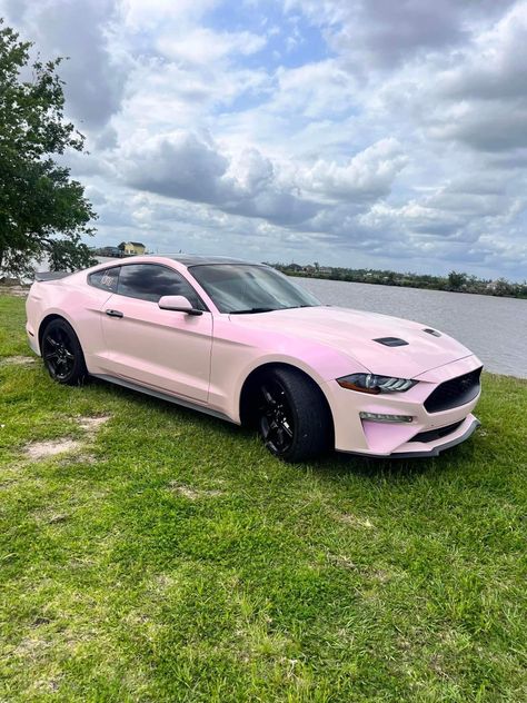 Light Pink Mustang, Pink Ford Fusion, Pink Camaro, Pink Mustang, Pink Corvette, Mustang Girl, Pink Cars, Car For Teens, Chrome Cars