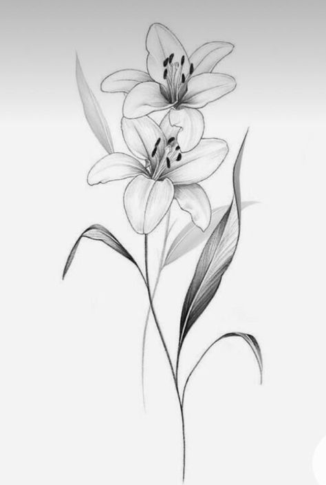 Flower Vine Wrapped Around Leg Tattoo, Lilly Tattoo Design, Lilly Flower Tattoo, Tattoo Silhouette, Tiger Lily Tattoos, Water Lily Tattoos, Lillies Tattoo, Lily Tattoo Design, Lilies Drawing