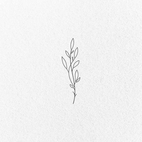 Olive Tattoo Minimalist, Olive Branch Drawing Tattoo, Minimal Olive Branch Tattoo, Simple Olive Branch Tattoo, Fine Line Olive Branch Tattoo, Olive Branch Sketch, Olive Branch Drawing, Olive Leaf Tattoo, Olive Tree Tattoos