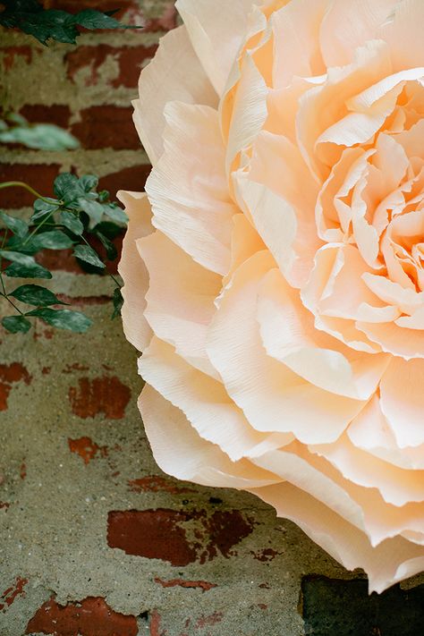 DIY oversized paper flowers Diy Huge Paper Flowers, Fall Giant Paper Flowers, Easy Giant Paper Flowers, Oversized Paper Flowers Diy, Jumbo Paper Flowers Diy, Oversized Flowers Diy, Diy Oversized Flowers, Paper Mache Flowers Diy, Giant Crepe Paper Flowers Diy