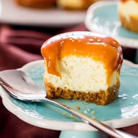 Sophisticated Desserts, Caramel Cheesecake Bites, Caramel Cheesecake Recipes, Cheesecake Caramel, Snickers Cheesecake, Sarah Graham, Doughnut Muffins, Salted Caramels, Cheesecake Trifle