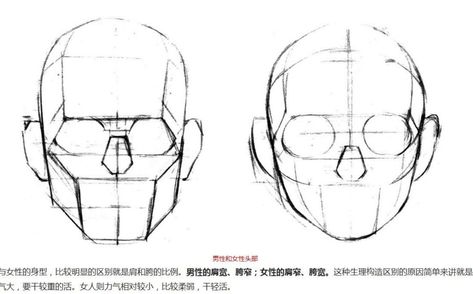 얼굴 드로잉, Body Drawing Tutorial, Human Anatomy Drawing, Human Anatomy Art, Anatomy Sketches, Anatomy For Artists, Human Head, Different Angles, Anatomy Drawing