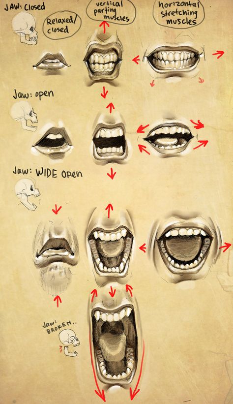 * Mouth & Eye & Ear & Nose * Mouth Expressions, Drawing Mouths, Mouth Shapes, Classical Drawing, Portrait Faces, Drawing Heads, Munnar, Animation Reference, Anatomy Drawing