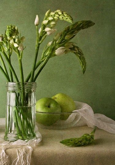 Green Still Life Photography, Green Still Life, Apples Photography, Green Cottage, Art Coquillage, Green Apples, Still Life Photos, Apple Fruit, Painting Still Life