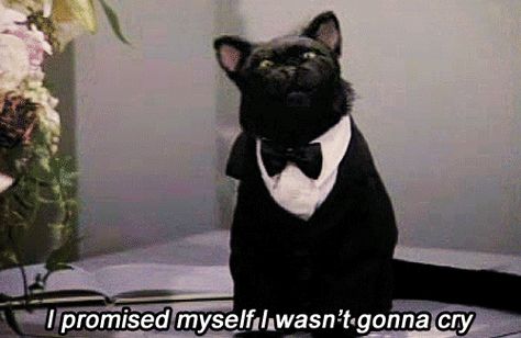 Pin for Later: 39 Salem Saberhagen Quotes You Should Start Using Immediately When You Sob at The Notebook For the 100th Time Salem Quotes, Sabrina Cat, Salem Saberhagen, Salem Cat, Sabrina Witch, Sabrina Spellman, Archie Comics, Cat Quotes, The Notebook