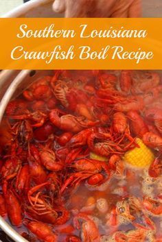 Louisiana Crawfish Boil Recipe, Crawfish Boil Recipe, Seafood Boils, Louisiana Cooking, Crawfish Boil Party, Crawfish Recipes, Cajun Crawfish, Southern Louisiana, Turkey Fryer