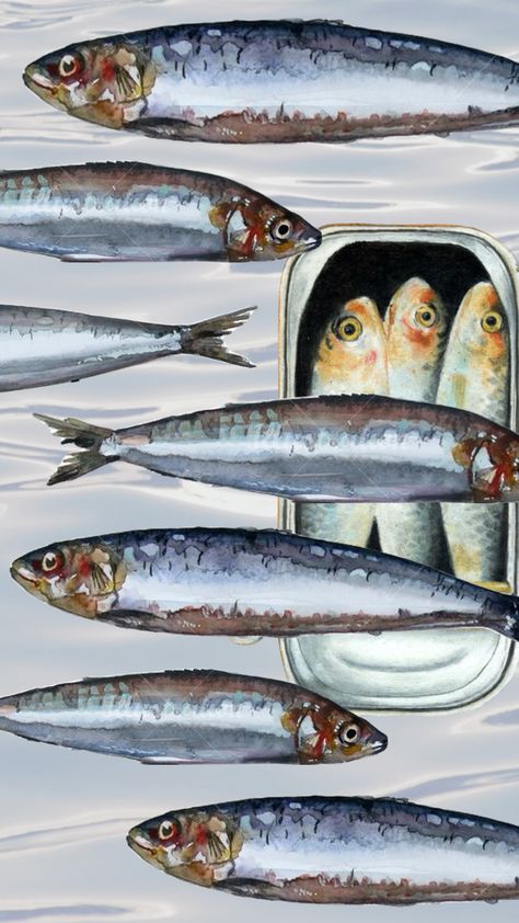 #sardines #sardine #sardinewallpaper #sardinetrend #sardineswallpaper #fish #fishy #fishwallpaper #fishywallpaper Doodle Art, Art Journal, Doodles, Fish, Art