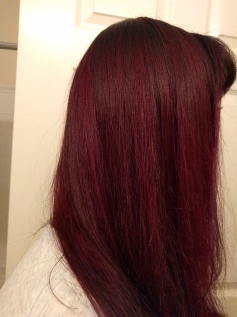 50/50 mix of Manic Panic's Vampire Red and Purple Haze (originally prelightened to about a 7) Dark Vampire Red Hair, Vampire Red Hair, Manic Panic Red, Manic Panic Vampire Red, Manic Panic Purple, Manic Panic Hair Color, Vampire Hair, Manic Panic Hair, Half Shaved Hair