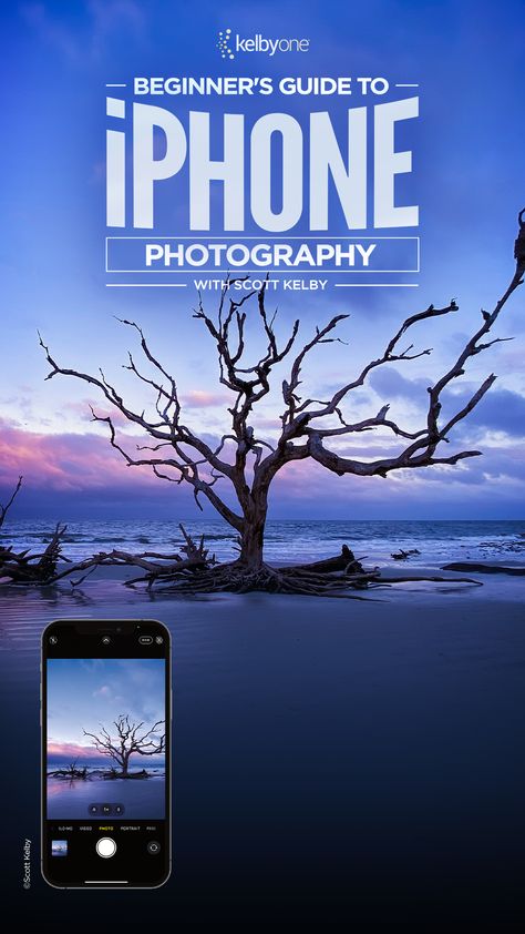 Want to capture breathtaking photos with your iPhone? 🤳 Join Scott Kelby's Beginner's Guide to iPhone Photography and learn over 20 tips and techniques to help you take your iPhone photography to the next level. 🚀 https://members.kelbyone.com/course/scott-kelby-beginners-iphone-photography/ Photography For Dummies, Iphone Photo Editor, Iphone Photography Tips, Photo Organization Storage, Beginner Photography Camera, Iphone Codes, Online Photography Course, Cell Phone Photography, Improve Photography