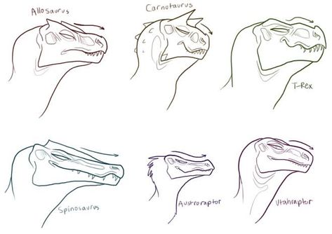 Head Sketches, Dino Drawing, Antelope Horns, Dinosaur Sketch, Drawing Bases, Dinosaur Drawing, Dinosaur Pictures, Dragon Sketch, Paleo Art