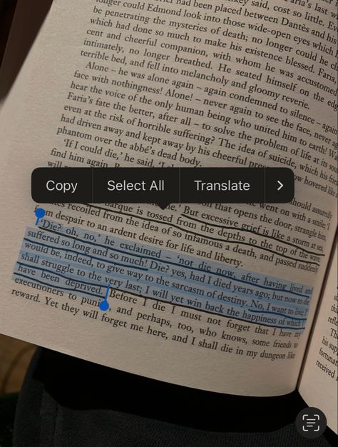 The Count Of Monte Cristo Book Aesthetic, Count Of Monte Cristo Art, The Count Of Monte Cristo Book, The Count Of Monte Cristo Aesthetic, Count Of Monte Cristo Aesthetic, Count Of Monte Cristo Quotes, Count Monte Cristo, Monte Christo, Count Of Monte Cristo