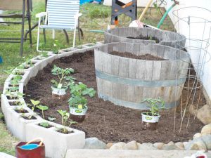 Summer Garden  {2010} Cinder Block Garden, Front Garden Design, Strawberry Plants, Cinder Block, Small Space Gardening, Raised Bed, Raised Beds, Lawn And Garden, Raised Garden Beds