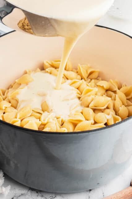 Macaroni And Cheese Shells, Mini Shell Pasta Recipes, Mac And Cheese With Shells, Baked Shells And Cheese Recipe, Shells Mac And Cheese Recipe, Shell Mac And Cheese Recipe, Small Shells Pasta Recipes, Large Shells Recipe, Mac And Cheese Recipe Shells