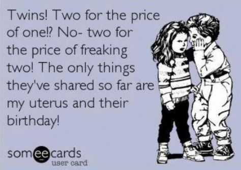 I can relate to this one... Twin Quotes Funny, Twin Mom Humor, Funny Pregnancy Memes, Twin Things, Twin Mum, Twin Quotes, Twin Humor, Pregnancy Memes, Having Twins