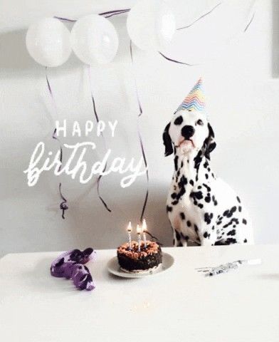 Happy Birthday Dog Gif, Birthday Cake Quotes, Blessed Birthday, Purple Happy Birthday, Happy Birthday To Me Quotes, Happy Birthday Dog, Quote Pictures, Animated Emoticons, Happy Birthday Photos