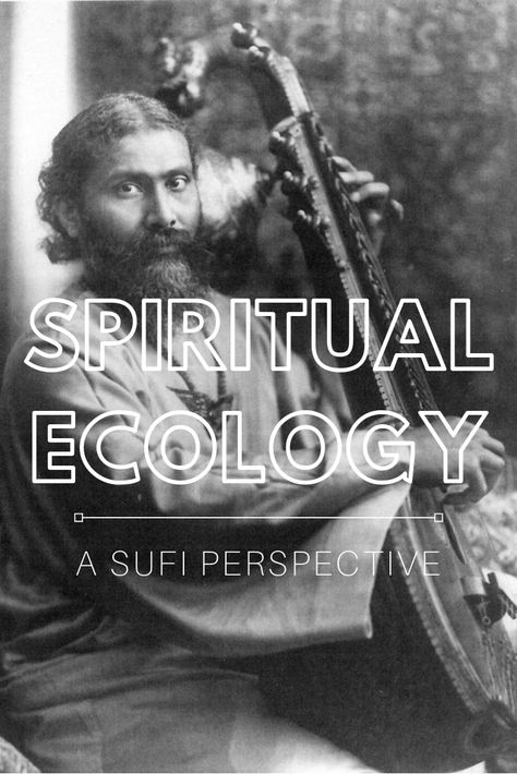 Spiritual Ecology, Esoteric Books, School Of Philosophy, Sufi Mystic, Environmental Problem, Nature Music, World Religions, Religious Studies, Photography Nature