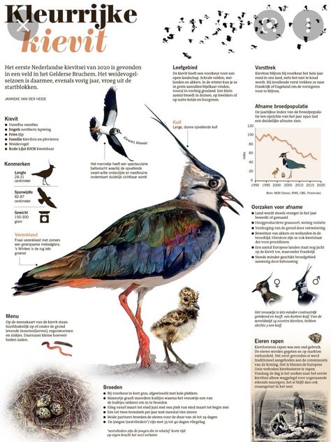 Bird Infographic, Revolution Design, Bird Guide, Science Infographics, Bird Identification, Bird Graphic, Bird Book, Exotic Bird, Scientific Illustration