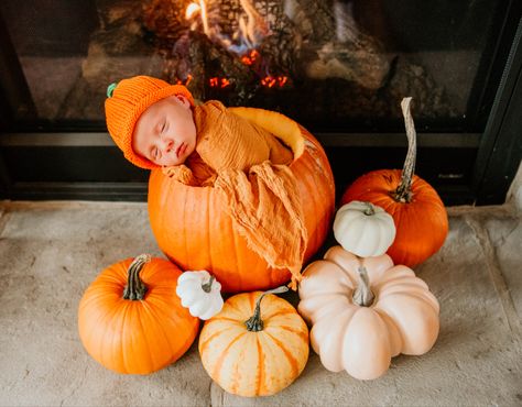 Newborn In Pumpkin Picture, Newborn Pumpkin Costume, October One Month Baby Pictures, Newborn In Pumpkin, Baby Halloween Photoshoot Ideas At Home, Baby Pumpkin Pictures Newborn, Pumpkin Newborn Pictures, Baby In A Pumpkin Picture, Infant Pumpkin Pictures