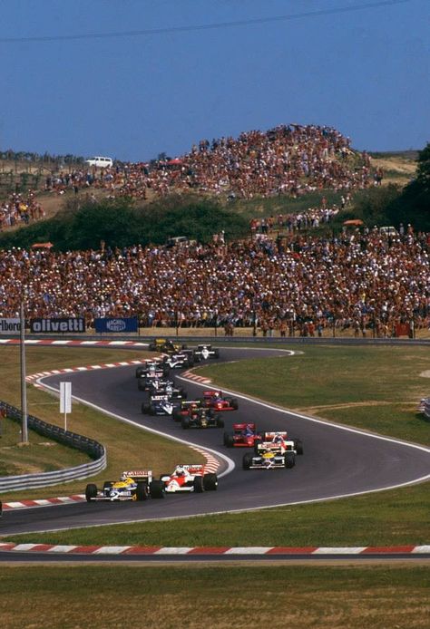 Hungarian Grand Prix Formula One, Brazilian Grand Prix, Hungarian Grand Prix, Halcyon Days, Vroom Vroom, F 1, Baseball Field, Formula One, Grand Prix