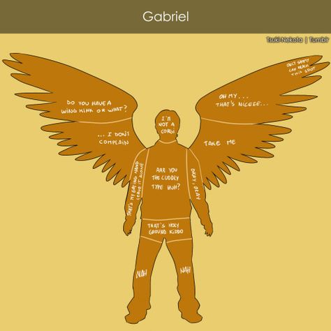 winchesters with wings | Tumblr Gabriel Good Omens Icons, Gabriel Supernatural Icon, Gabriel Spn, Gabriel Supernatural, Supernatural Angels, Supernatural Ships, Fast 8, Supernatural Destiel, Supernatural Memes