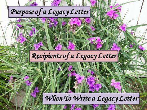 How To Write a Personal Legacy Letter Legacy Letters, Expressions Of Love, Love Wisdom, Write Letters, Genealogy Resources, Reflection Quotes, Parenting Help, Letter Template, Loving Memory