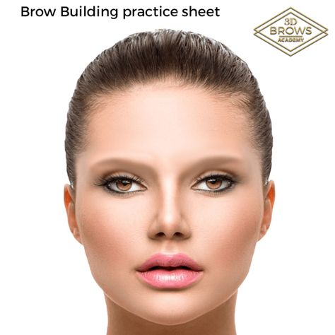 practice sheet – 3D Brows Classroom Eyebrow Mapping Practice Sheet, Brow Mapping Practice Sheet, Brows Mapping, Brow Mapping, Phibrows Microblading, Connecting The Dots, Frame Work, Henna Brows, Permanent Makeup Eyebrows