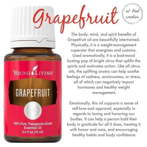 Grapefruit Essential Oil Young Living, Young Living Grapefruit, Purification Essential Oil, Living Oils Recipes, What Are Essential Oils, Young Living Essential Oils Recipes, Essential Oils Guide, Essential Oil Plants, Yl Essential Oils