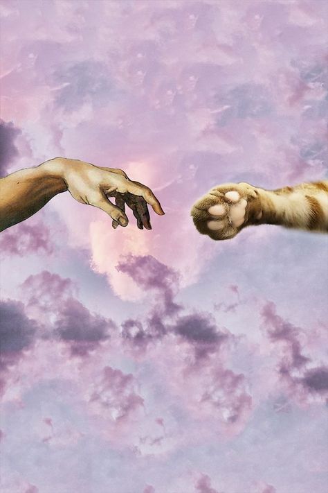 The perfect pet lover customized merch with "Cat paw and human hand" design, inspired by the famous painting "The Creation of Adam" by Italian artist Michelangelo. #customizedmerch #perfectmerch #petmerch #catmerch #catpawhumanhand #funnymerch #merchshop #catlover #petlover #onlineshop #catmerch #teespringhoodie #thecreationofadam #catchyfunnyshop Paw Painting, The Creation Of Adam, Cats Design, International Cat Day, Unread Books, Book Art Diy, Human Hand, Cat Paw, Italian Artist