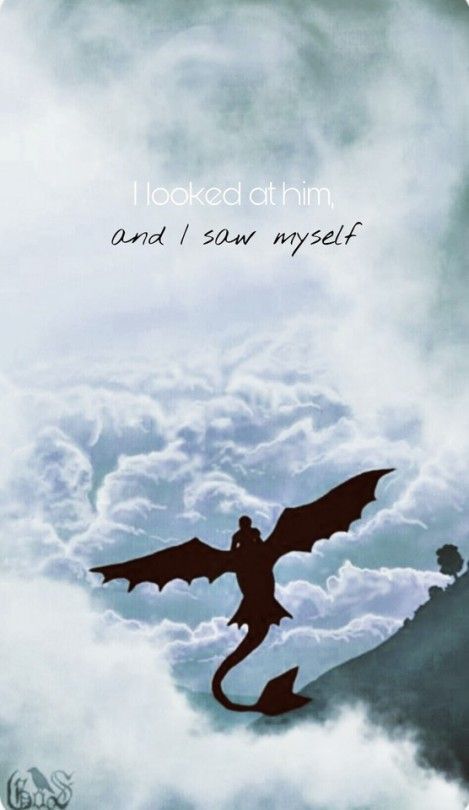 Httyd Wallpaper, Toothless Wallpaper, Dragon Quotes, Httyd Art, Him And I, Hiccup And Toothless, Hiccup And Astrid, Httyd Dragons, Image Film