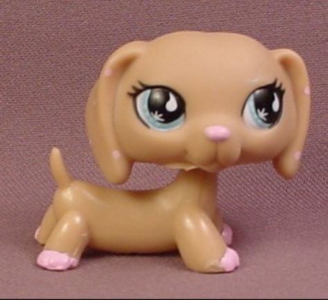 Lps dachshund #909 SO CUTE!!!!! Lps Houses, Lps Dachshund, Lps Drawings, Lps Dog, Lps Popular, Lps Cats, Brown Dachshund, Lps Toys, Lps Pets