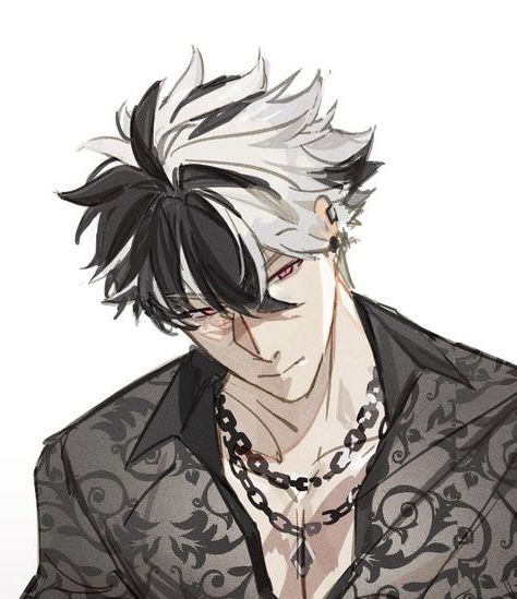 Black Hair Yellow Eyes, White Streak In Hair, White Hair Anime Guy, Black White Hair, Half And Half Hair, Anime Demon Boy, Multicolored Hair, Different Art Styles, Human Male