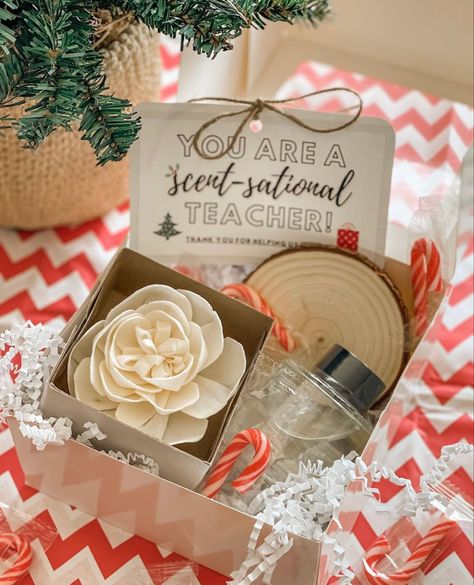 Scentsy Teacher Gifts Christmas, Scentsy Christmas Gift Ideas, Scentsy Gift Basket Ideas, Scentsy Consultant Ideas Marketing, Scentsy Booth, Scentsy Sample Ideas, Scentsy Christmas, Scentsy Marketing, Scentsy Consultant Ideas