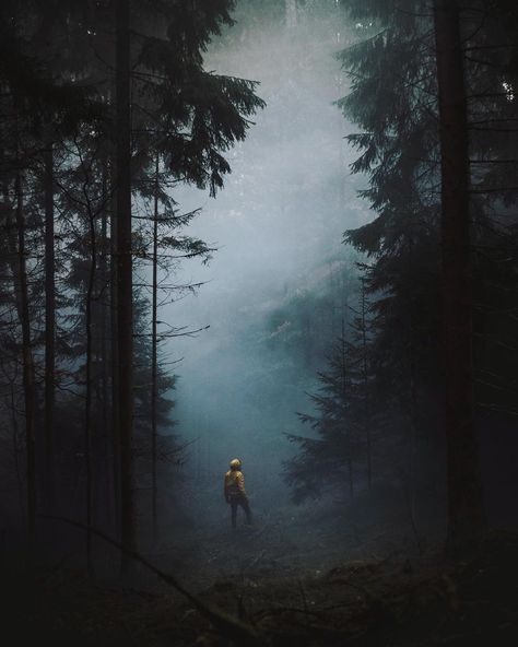 Alone in the Dark 🌑 Alone In The Dark, Iphone 6 Wallpaper, Misty Forest, Office Paper, Nature Adventure, Travel Alone, Urban Jungle, Dark Forest, Scenery Wallpaper