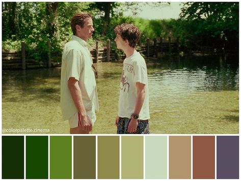 Color Palette Cinema on Instagram: “: "Call Me by Your Name" (2017). •Directed by Luca Guadagnino •Cinematography: Sayombhu Mukdeeprom •Production Design: Samuel…” Cmbyn Color Palette, Call Me By Your Name Color Palette, Cinema Palettes, Timothy Green, Color In Film, Movie Color Palette, Luca Guadagnino, Instagram Call, Cinema Colours