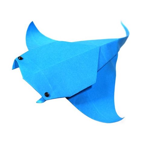 How to make a Paper Manta Ray - Paper Crafts 1101 Origami Designed by Easy Origami Youtube : http://youtube.com/papercrafts1101 Facebook : http://facebook.com/papercrafts1101 Instagram : http://instagram.com/papercrafts1101 #origamimantaray #mantarayorigami #origamianimal #origami #origamistingray, #stingrayorigami #origamimantarochen #оригамиманта #mantarrayasdeorigami #raiodemantadeorigami #折り紙マンタレイ #rayonmantaorigami #쥐가오리종이접기 #가오리종이접기 #만타가오리종이접기 #paperorigamis #papercrafts1101 #easyorigami Origami Manta Ray, Whale Shark Origami, Sea Creature Origami, Shark Origami Easy, Origami Ocean Animals, Origami Sea Animals, Shark Paper Craft, Origami Creatures, Origami Sea Creatures