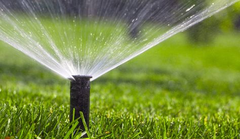 In the Deep South, it's hot. REALLY HOT. That's why it's important to keep your grass watered. That can get expensive. What if there was a grass that could thrive on less water? The answer is here: https://loom.ly/DgxDwdY #ngturf #tiftuf #bermuda #farmfreshsod Water Irrigation System, Lawn Sprinkler System, Water Saving Tips, Sprinkler Repair, Lawn Irrigation, Water Irrigation, Growing Grass, Sprinkler Irrigation, Commercial Landscaping