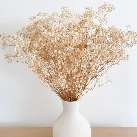 Amazon.com: Dried Flowers Babys Breath Flowers Bouquet With Lights,17.2 inch 3000+ Natural Ivory White Bulk Flowers Real Gypsophila Branches for Home Decor, Wedding Wreath Floral, Boho Decor, Dry Flowers for Vase : Home & Kitchen Bouquet With Lights, Gypsophila Bouquet, Gypsophila Wedding, Breath Flowers, Porch Pumpkins, Flowers Real, Wedding Wreath, Pumpkin Flower, Home Decor Wedding