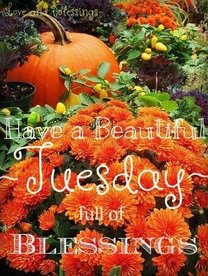 Happy Tuesday Morning, Tuesday Quotes Good Morning, Tuesday Greetings, Good Morning Thursday, Good Morning Tuesday, Tuesday Quotes, Happy Morning Quotes, Good Morning Inspiration, Fall Images