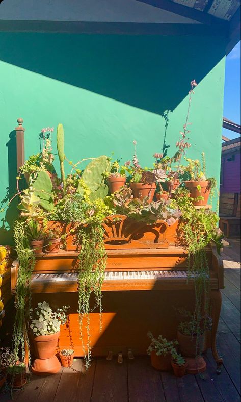 beautiful natural plants & succulents growing out of a piano, found at garden coffee in san diego, ca. #aesthetic #nature #piano #plants #succulents #music #coffee #garden #beautifulgardenideas Piano With Plants Aesthetic, Piano Plant Decor, Plants On Piano, Piano With Plants, Ca Aesthetic, Succulents Growing, Piano Upcycle, Music Garden, Old Pianos