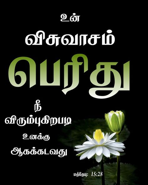 🌹 கர்த்தர் உன்னை மேன்மையாக வைப்பார்.

🥳  உபாகமம்: 28:1🎈

💫 TamilBible ✨ TamilVerse 
💗 | Daily Bible Words & தமிழ் 🌍 | Sharing Goodnews to World 🎯 | ✞ https://www.tamilbibleverse.com/ ✞ 

✝️ TamilBible | Tamil Bible Verse | #tamil #bible #tamilbible #promise #tamilbibleverse #biblequotes #biblekart #biblestudy #blessed  #jesus #jegan #jesuschrist #goodvibes  #instagood #instapost #todaybibleverse #tamilchristian #christian #gospel #motivation #bibleverse #BiblePixel #bibletamil #god #tamil Tamil Christian Bible Words Image, Tamil Bible Verses Images, Bible Verses In Tamil, Bible Verse In Tamil, Bible Verse Tamil, Gospel Motivation, Bible Quotes Tamil, Good Morning Bible Verse, Bible Words In Tamil