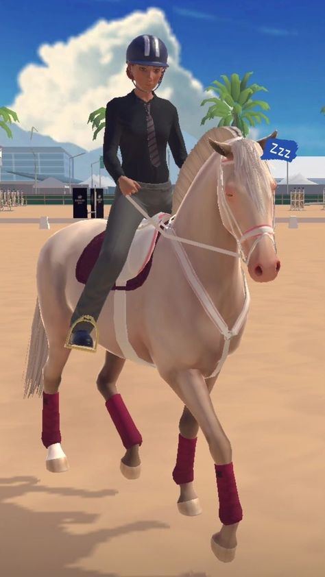 Etg Horse Game, Equestrian The Game, Horse Games, Star Stable, The Game, Equestrian, Horses