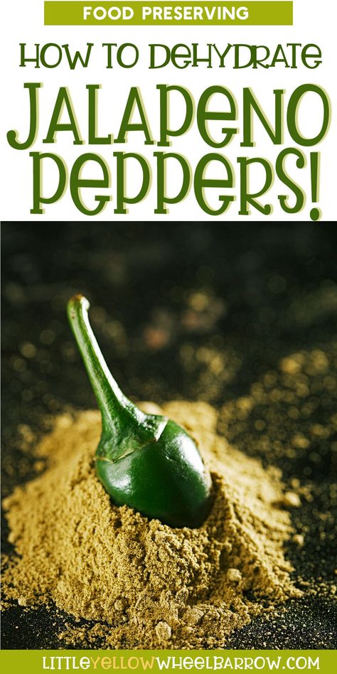 Did you plant too many jalapeno pepper plants this year? Do you have a bumper crop, and you are wondering how you're going to preserve your bounty? After making pickles and candied peppers and using some fresh, you can always dehydrate the rest. Dehydrate jalapeno peppers easily with the five methods we describe below. Canning and preserving your crops is a great way to save money on produce by using up your entire crop, or buying in bulk when it goes on sale. Dehydrated Jalapenos, Candied Peppers, Water Bath Canning Recipes, Canning And Preserving, Smoked Jalapeno, Jalapeno Pepper, Vegetable Harvest, Dehydrated Vegetables, Jalapeno Recipes