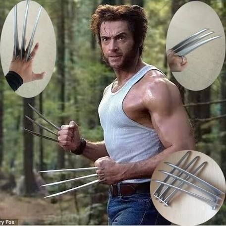 How to Make a Wolverine Costume: 11 Steps (with Pictures) Marvel Nemesis, Comedy Movies On Netflix, Wolverine Costume, X Men Costumes, Wolverine Claws, Good Comedy Movies, The Wolverine, Wolverine Hugh Jackman, Logan Wolverine