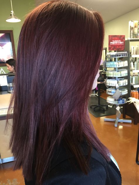 Gorg eggplant purple #shanynwilliams Aubergine Hair Color, Eggplant Colored Hair, Eggplant Hair, Mahogany Hair, Hair Color Plum, Plum Hair, Red Hair Inspo, Hair Highlights And Lowlights, Burgundy Hair