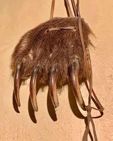 Bear Pelt, Bone Jewellery, Real Bone Jewelry, Bear Facts, Animal Bone Jewelry, Native History, Native American Projects, Petroglyphs Art, Mountain Men