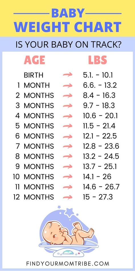 Baby Weight chart infographic -- Are you eager to track your baby's growth? I've got a list of 11 best baby scales to help you track your little one's weight gain! #best #baby #scale #weight #gain #loss #measure #babyweigh #accurate #healthy #safe #development #tracking #progress #newborn #growth #spurt #milestone #feeding #eating #babyscale #petscale #digital #growing #infant #babyweighing  #findyourmomtribe Baby Weight Gain Chart, Baby Weight Chart, Newborn Milestones, Milestone Chart, Baby Chloe, Weight Chart, Growth Spurt, Chart Infographic, Weight Charts