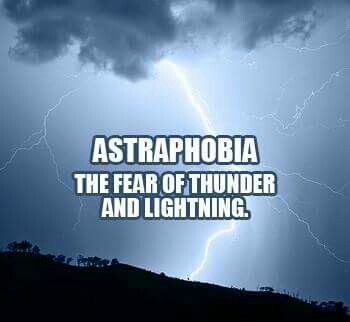 Life Scared Of Thunderstorms Quotes, Thunderstorms Quotes, Fear Of Thunderstorms, Word Symbols, Irrational Fear, Camp Cretaceous, Are You Scared, Unusual Words, Thunder And Lightning