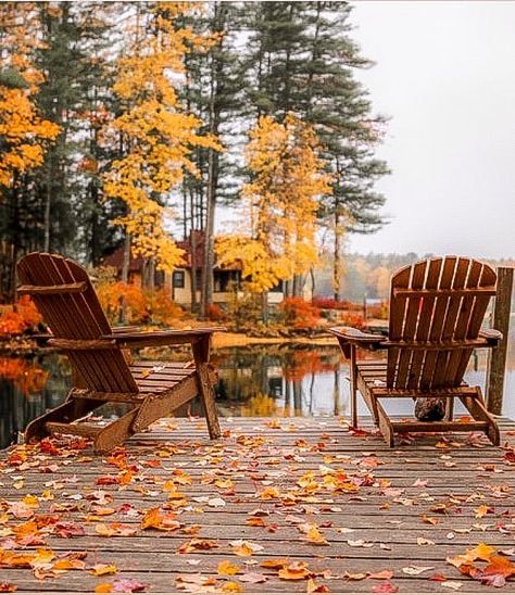 The Cabin Chronicles on Instagram: “Find a place to sit and watch the leaves F A L L ▪︎ 📷: @kylefinndempsey | New Hampshire 📍: @winniessocks” Cabin Chronicles, Lake Winnipesaukee, New England Fall, Lake Living, Cabin Living, Autumn Scenery, For God So Loved The World, The Cabin, Adirondack Chairs