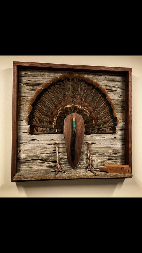 Turkey Feet Mount, Framed Turkey Fan, Turkey Fan Display Ideas, Turkey Tail Mount Ideas, Turkey Display Ideas, Turkey Tail Feather Mounts, Diy Turkey Fan Mount, Turkey Mounts Ideas, Turkey Tail Mount